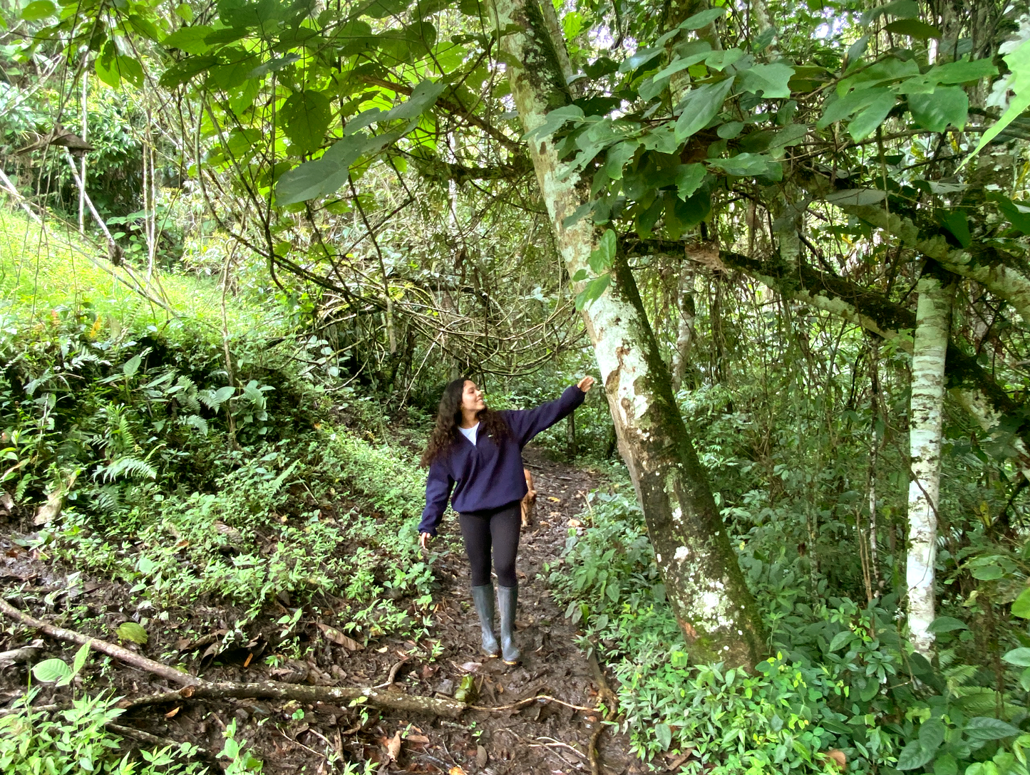 PASEO EN EL SENDERO