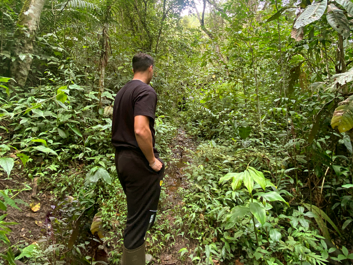 PASEO EN EL SENDERO