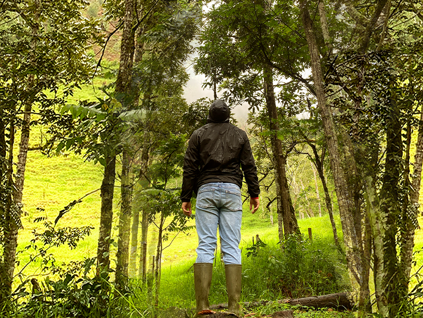 PASEO EN EL SENDERO
