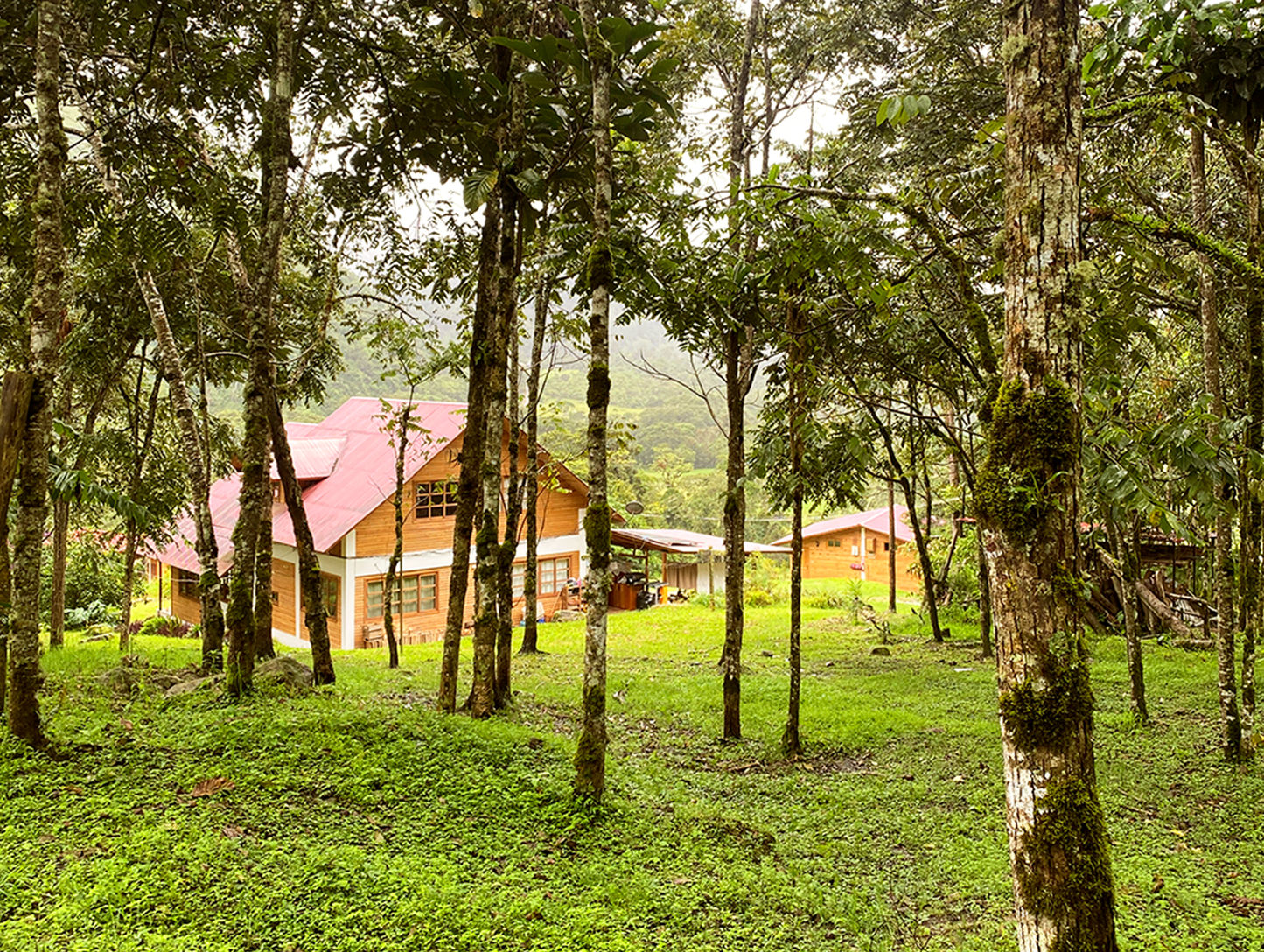 PASEO EN EL SENDERO