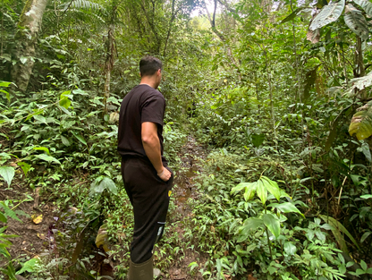 PASEO EN EL SENDERO