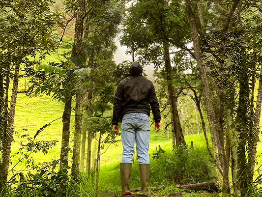 PASEO EN EL SENDERO